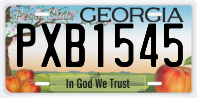 GA license plate PXB1545