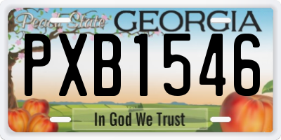 GA license plate PXB1546