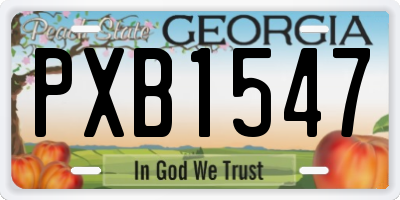GA license plate PXB1547