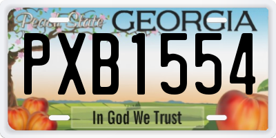 GA license plate PXB1554