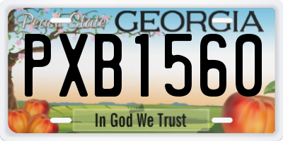 GA license plate PXB1560