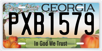 GA license plate PXB1579
