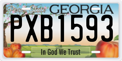 GA license plate PXB1593