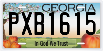GA license plate PXB1615