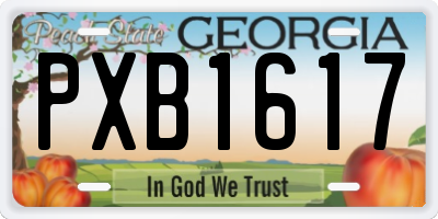 GA license plate PXB1617