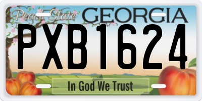 GA license plate PXB1624