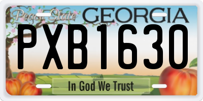 GA license plate PXB1630