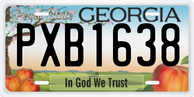 GA license plate PXB1638