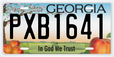 GA license plate PXB1641