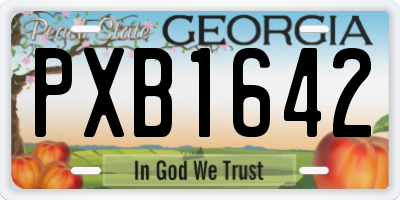 GA license plate PXB1642