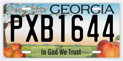 GA license plate PXB1644