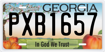 GA license plate PXB1657