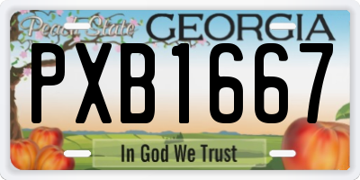 GA license plate PXB1667
