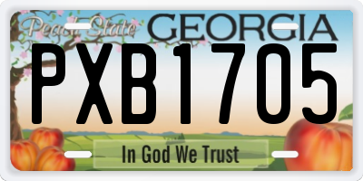 GA license plate PXB1705