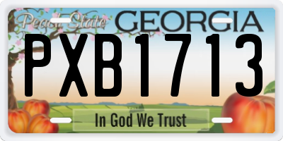 GA license plate PXB1713