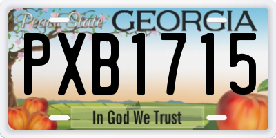 GA license plate PXB1715