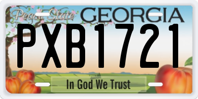 GA license plate PXB1721