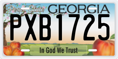 GA license plate PXB1725