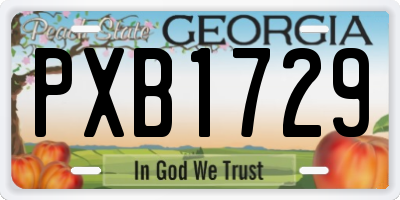 GA license plate PXB1729