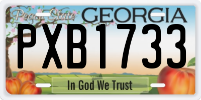 GA license plate PXB1733