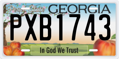 GA license plate PXB1743