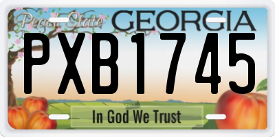 GA license plate PXB1745