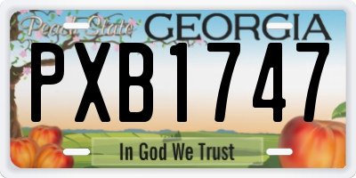 GA license plate PXB1747