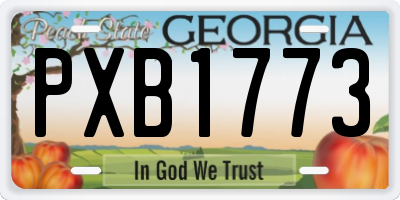 GA license plate PXB1773