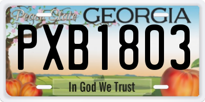 GA license plate PXB1803