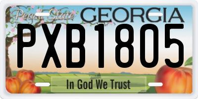 GA license plate PXB1805
