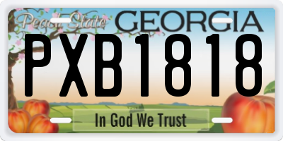 GA license plate PXB1818