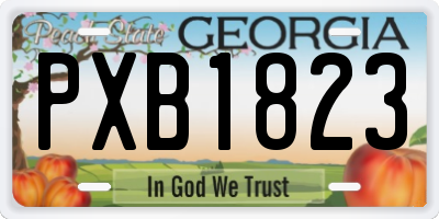 GA license plate PXB1823
