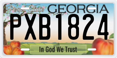 GA license plate PXB1824