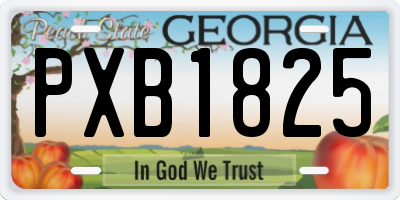 GA license plate PXB1825