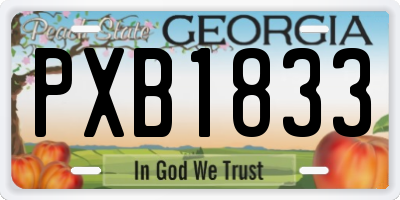 GA license plate PXB1833