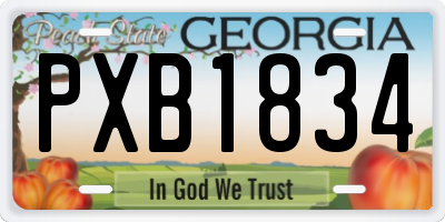 GA license plate PXB1834