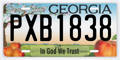 GA license plate PXB1838
