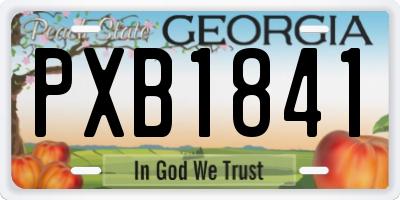 GA license plate PXB1841