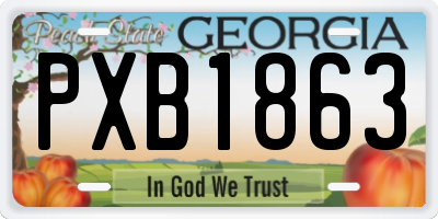 GA license plate PXB1863