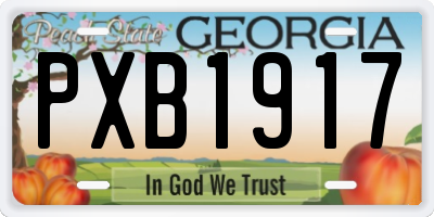 GA license plate PXB1917