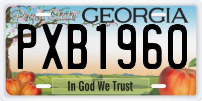 GA license plate PXB1960