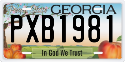 GA license plate PXB1981