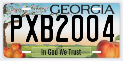 GA license plate PXB2004