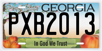 GA license plate PXB2013