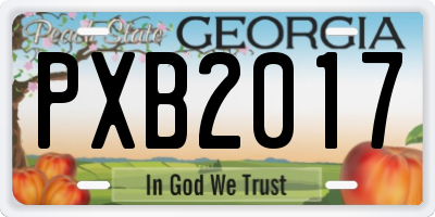 GA license plate PXB2017