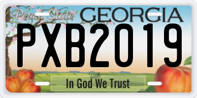 GA license plate PXB2019