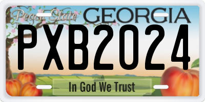GA license plate PXB2024