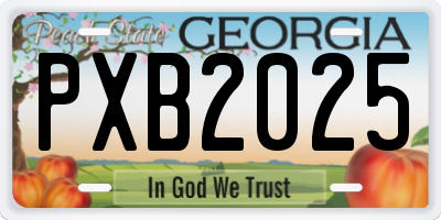 GA license plate PXB2025