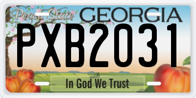 GA license plate PXB2031