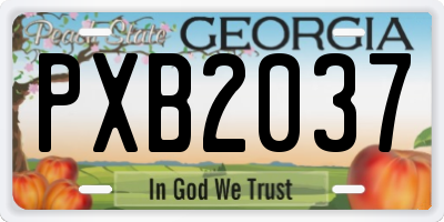 GA license plate PXB2037